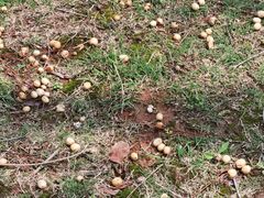 -盘龙城国家考古遗址公园