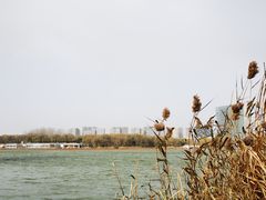 -大兴滨河森林公园