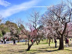 -京都御所