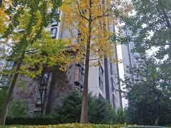 -唐城墙遗址公园