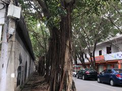 -黄埔古港
