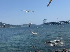 -黑石礁公园