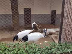 -南昌动物园