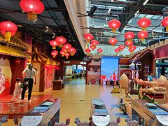 -中国宋庆龄青少年科技文化交流中心