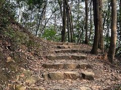 -午潮山国家森林公园