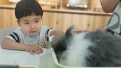 -Moni星球萌宠·小马宝莉·灵蛇·高端高阶全萌宠互动体验俱乐部(红豆国际广场店)