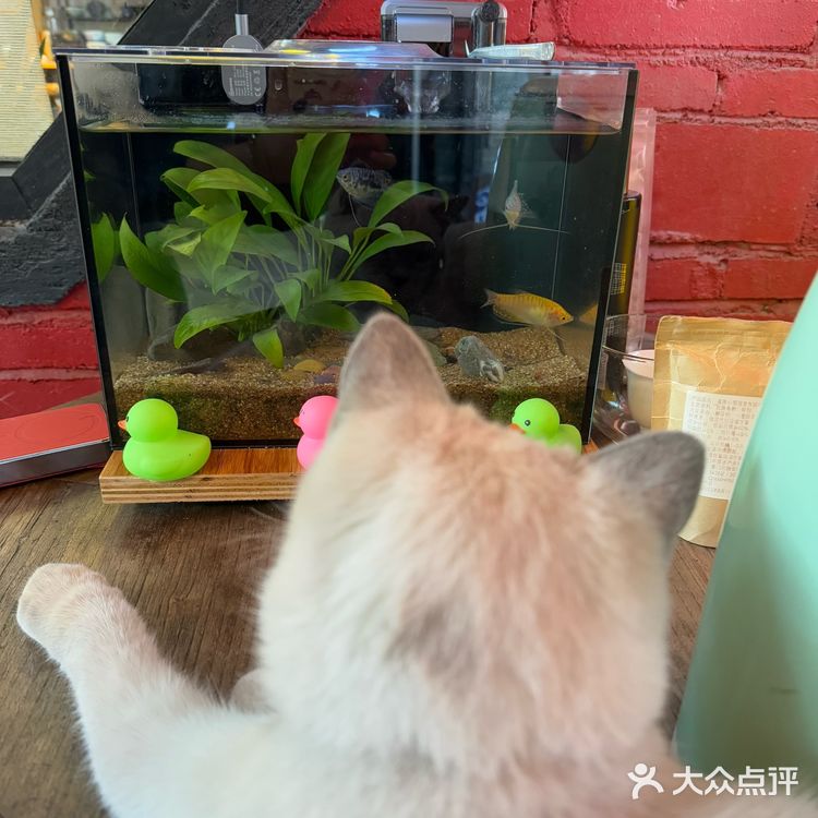 美食是生活的调味剂，“文会社”是你的美食天堂