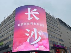 -黑色经典臭豆腐·湖南特产(步行街店)