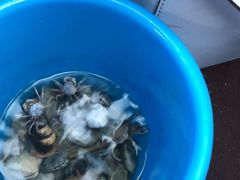 -北海金海湾红树林生态旅游区