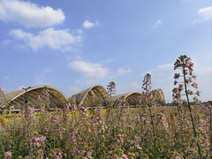 -中国天府农业博览园