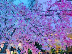 -花开餐厅(环湖中路店)