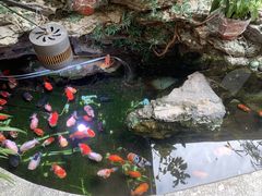 -佛有缘素食馆·荔湾老字号(陈家祠首店)