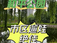 -和平公园