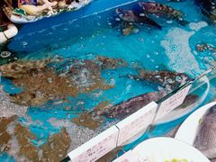 -中苑海韵