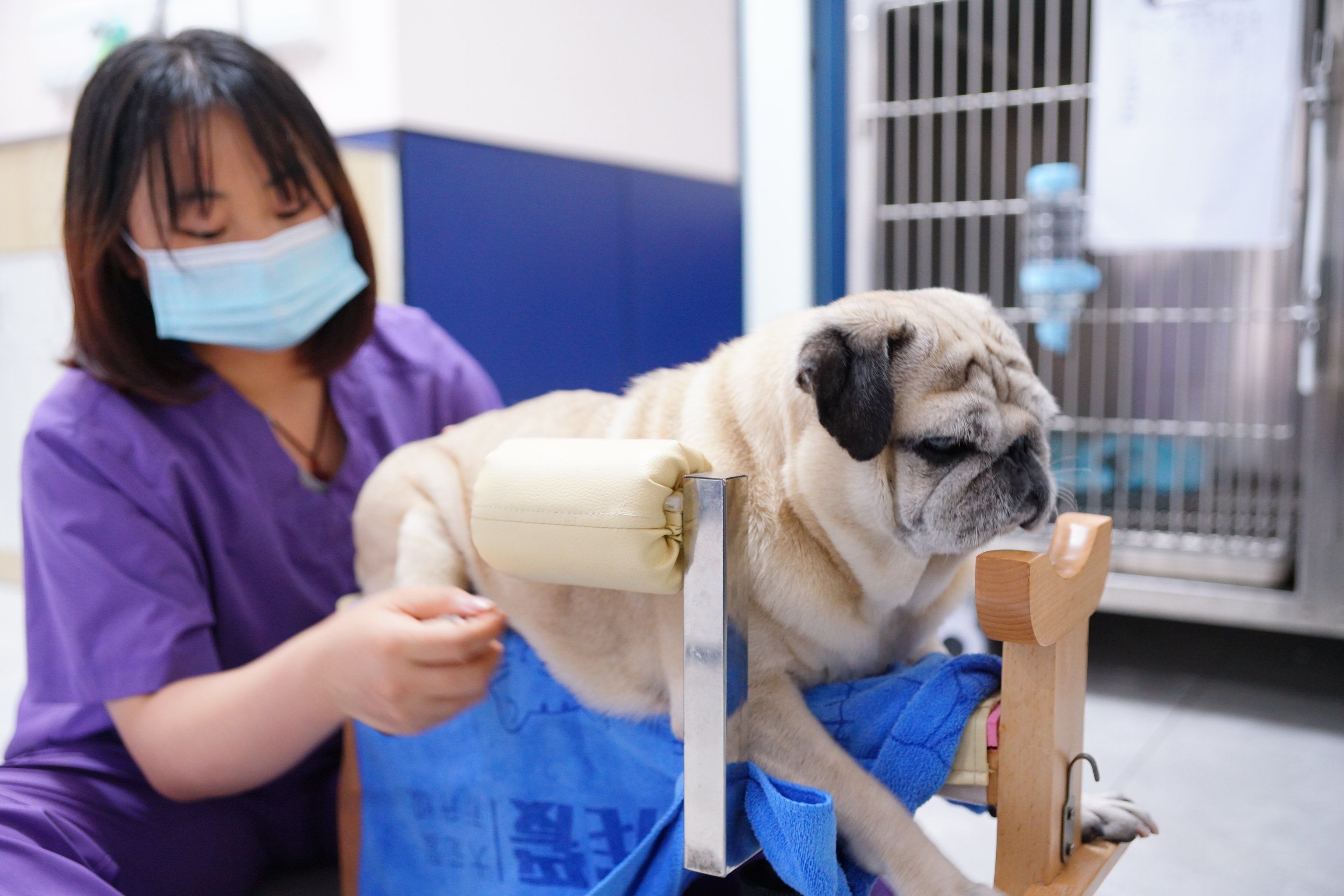 北京阜外医院、价格亲民,性价比高号贩子电话,去北京看病指南必知的简单介绍 北京阜外医院、价格亲民,性价比高号贩子电话,去北京看病指南必知的简单介绍