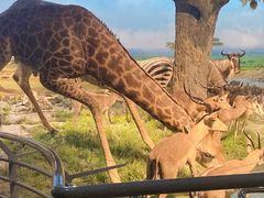 -国家自然博物馆