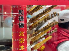 -和禄德冰糖葫芦