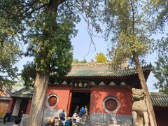 -少林寺欢喜地素斋馆