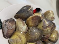 -牛排王糟粕醋火锅(海甸分店)