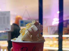 -Dooley's Premium Ice Cream