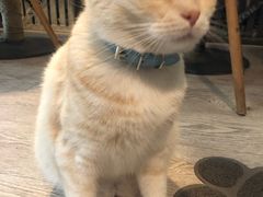 -小时光咖啡馆(北锣鼓巷店)