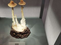 -长江文明馆