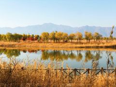 -野鸭湖国家湿地公园