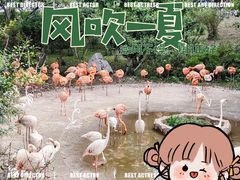-大连森林动物园