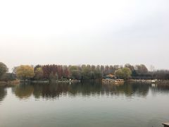 -郑州植物园