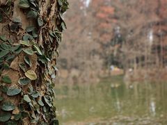 -华南国家植物园-售票处