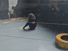 -无锡动物园·太湖欢乐园