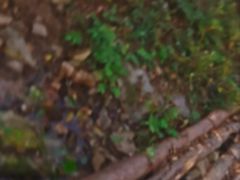 -丹东市五龙山风景区