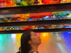 -奇胡利玻璃艺术园