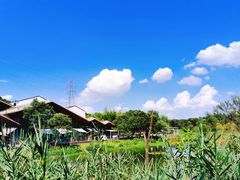 -西湖风景区-江洋畈生态公园