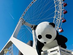 -天津之眼摩天轮