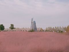 -金卉庄园