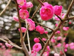 -白塘生态植物园