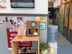 -伟伟宠物医院·瑞派猫友好医院·猫科(光谷店)