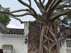 -墨池公园