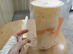 -CoCo都可(漫乐城店)