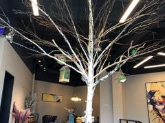 -十五食吾 La Pâtisserie (海甸岛店)