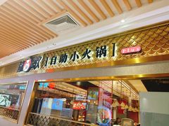 -龍歌自助小火锅(崂山丽达店)