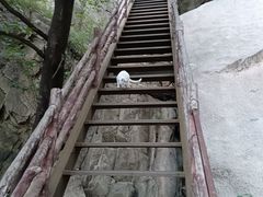 -北京凤凰岭