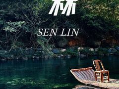 -石台牯牛降景区