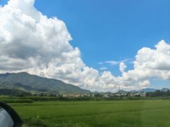 -黄牛肉馆·皖南土菜