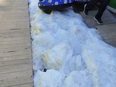 -青龙湖公园