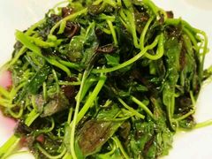 清炒苋菜近照-黄鹤楼湖北特色菜(高碑店)