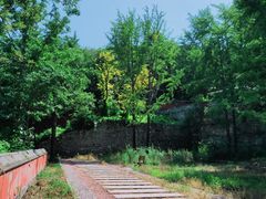 -阳台山自然风景区