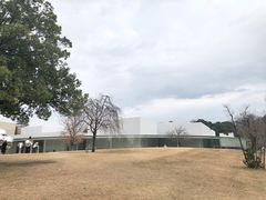 -金泽21世纪美术馆