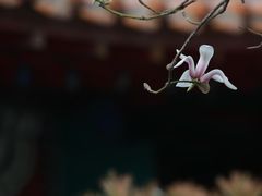 -碑林公园